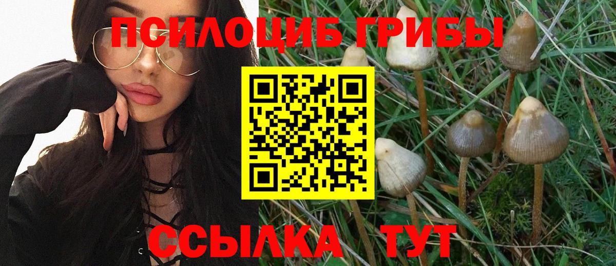 Кулебаки  Галлюциногенные грибы Magic Shrooms  Вход с VPN  Псилоцибиновые грибы Magic Shrooms 