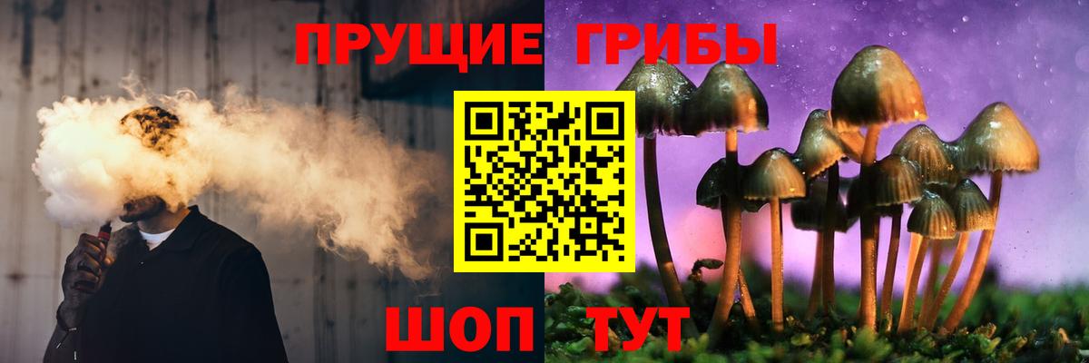 Псилоцибиновые грибы Cubensis Кулебаки